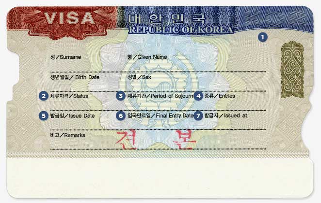 Visa Sample