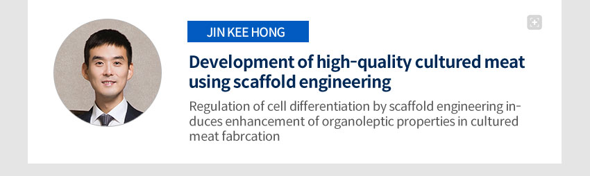 Development of high-quality cultured meat using scaffold engineering