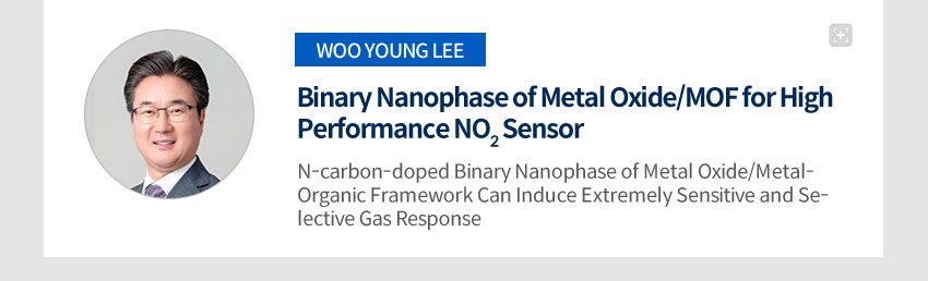 Binary Nanophase of Metal Oxide/MOF for High Performance NO2 Sensor