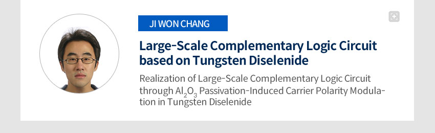 Large-Scale Complementary Logic Circuit based on Tungsten Diselenide