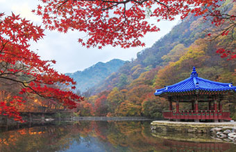 Places to Visit in Korea